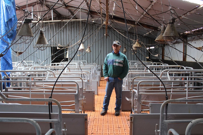 A man stands in an abandoned pig shed.