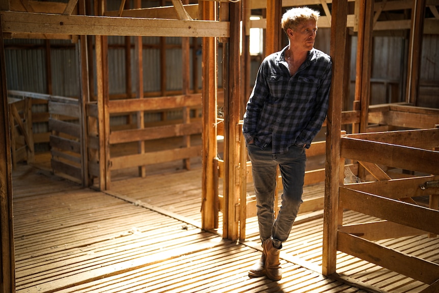 Man leans against wooden frame inside a wool shearing shed 