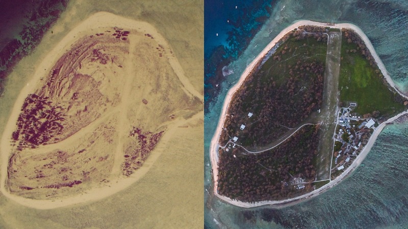A composite image shows the revegetation of Lady Elliot Island from the 1970s to 2019.