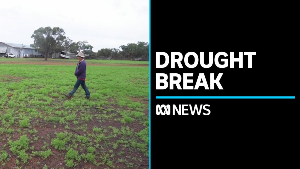 Tide may be turning on western Queensland's long-running drought - ABC News