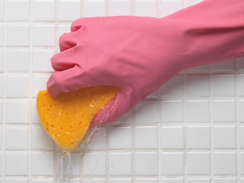 Does Vinegar Really Kill Household Germs Abc News