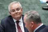 Scott Morrison watches Barnaby Joyce as he speaks in the House of Representatives
