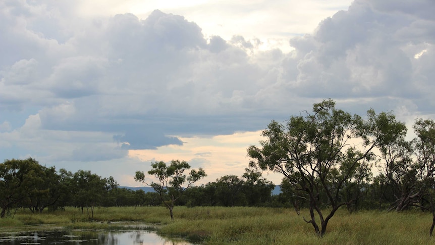 Bullo River