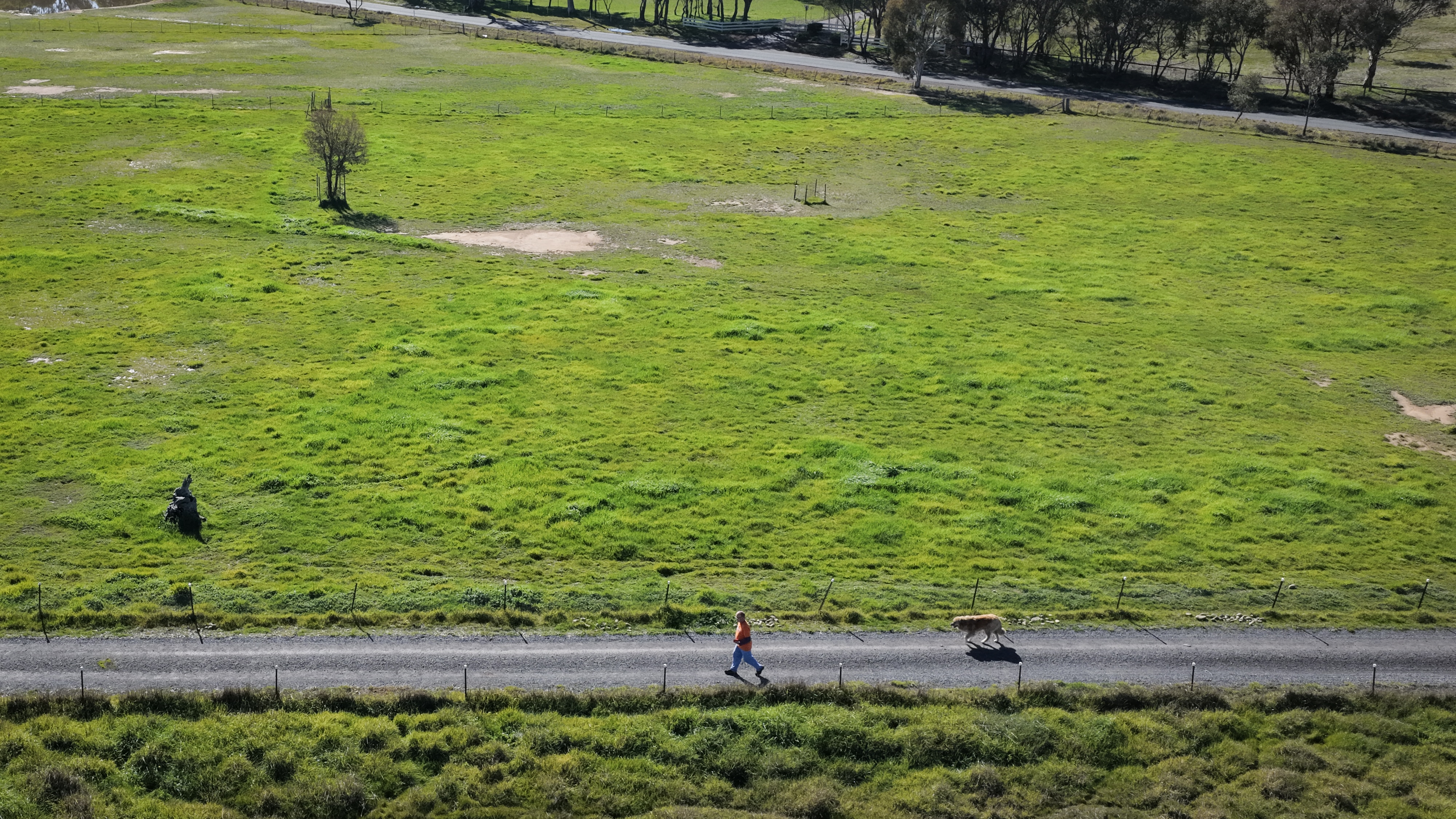 An aerial view of a man in an orange jumper walking down the driveway of a rural property.