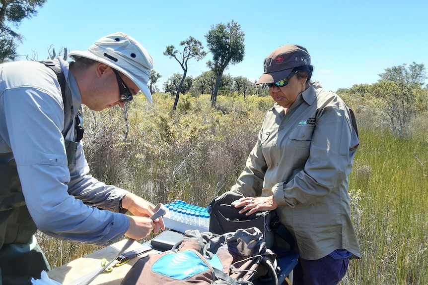 The pair stand in a swamp wearing hats and waders