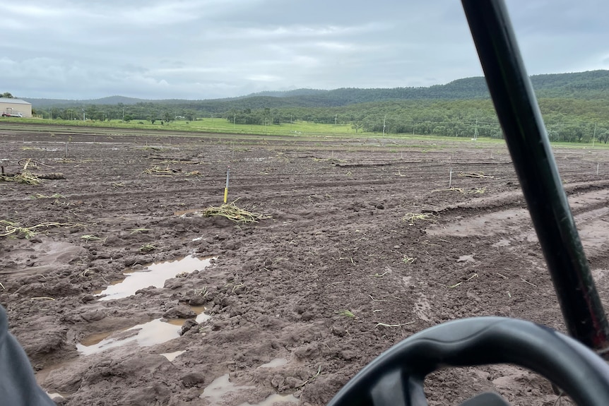 A muddy paddock, as seen from the cabin of a vehicle.
