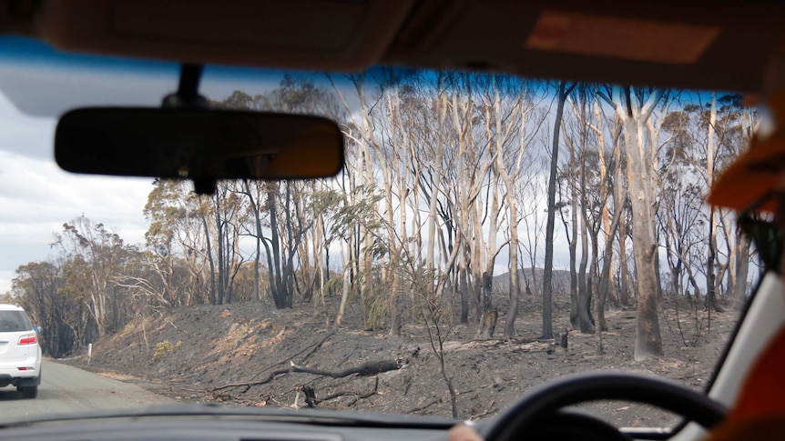 A man drives through a burnt out landscape.
