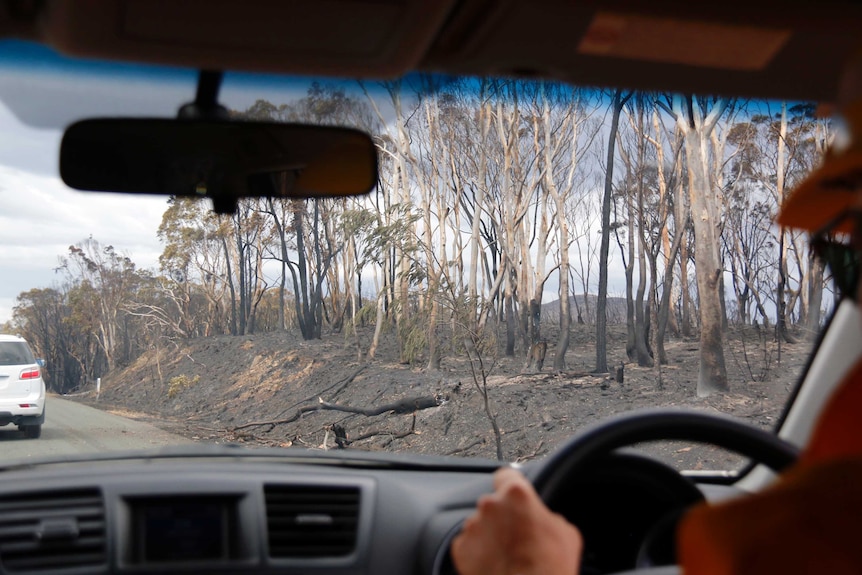 A man drives through a burnt out landscape.
