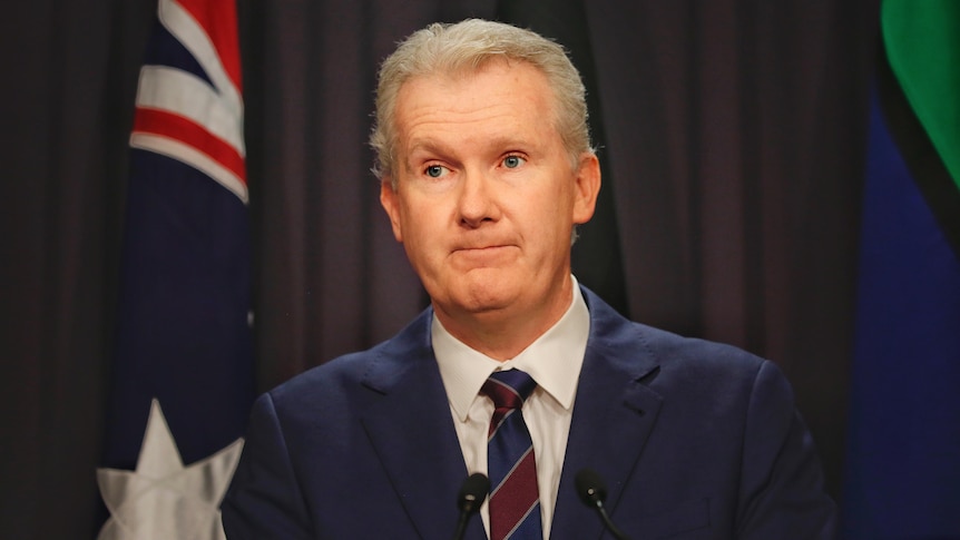 Tony Burke wearing a navy suit standing at a podium.