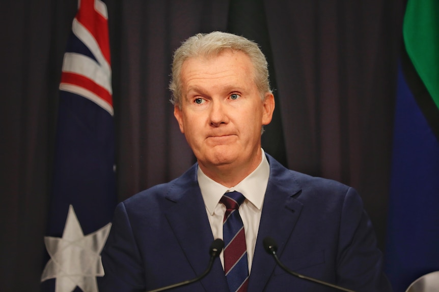 Tony Burke wearing a navy suit standing at a podium.