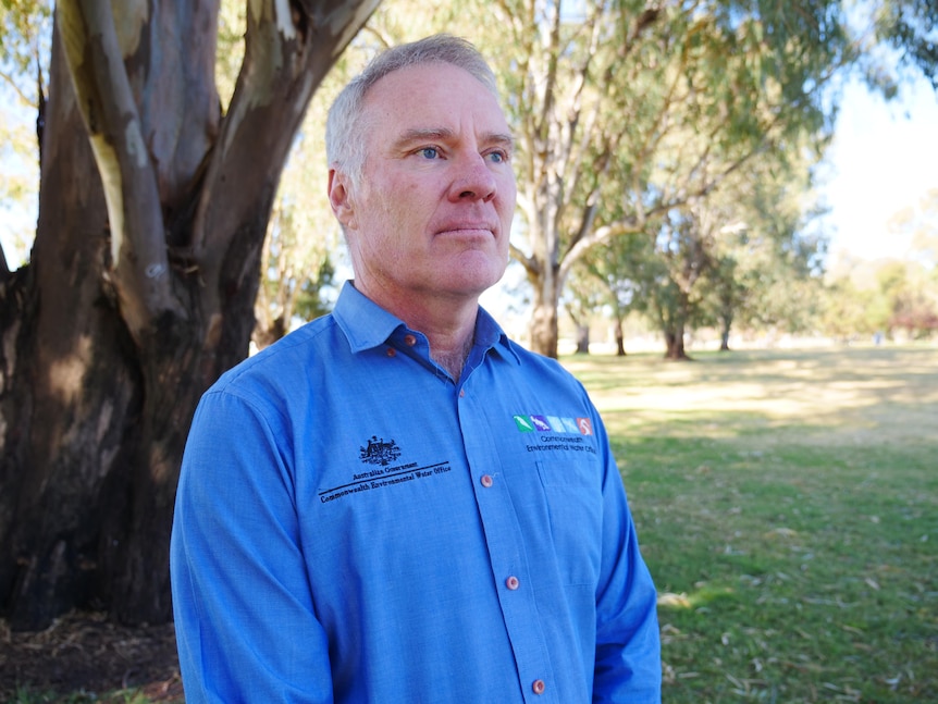 man in blue shirt stares out with trees in background.