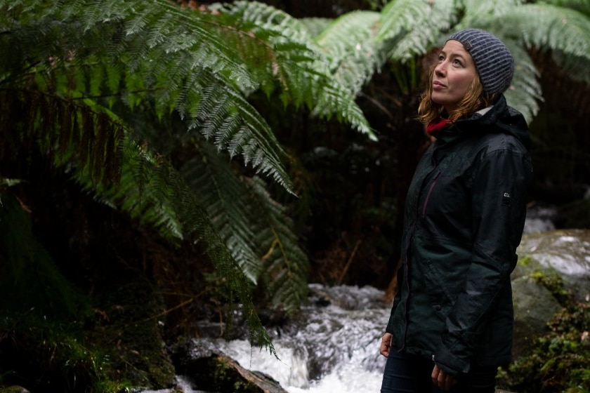 Woman standing in fern lined creek