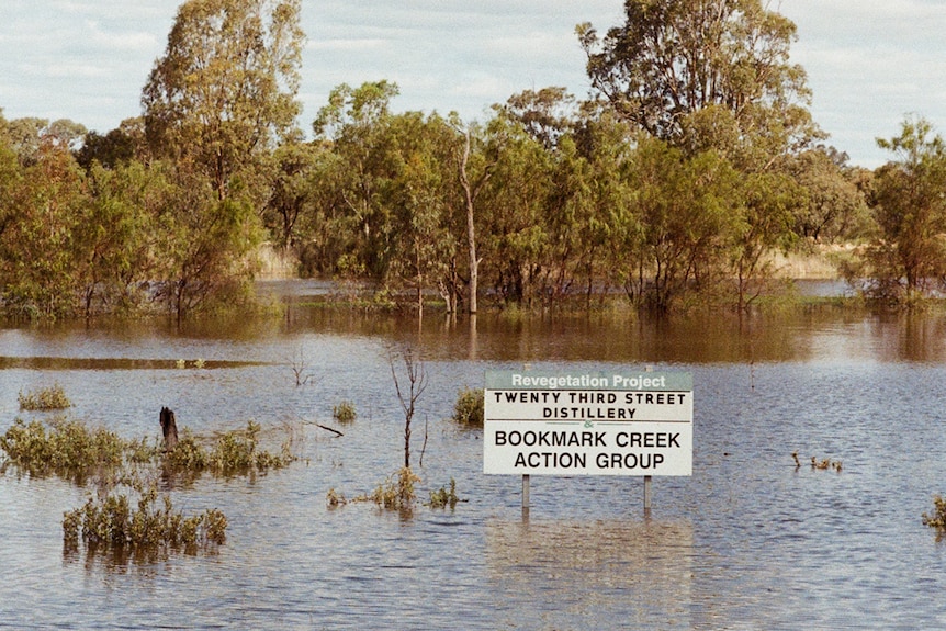 A wide body of water with a sign in the water and trees in the background.