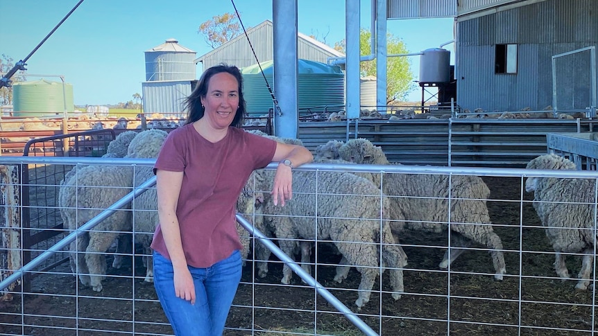 A woman leans on the fence of a pen full of sheep.