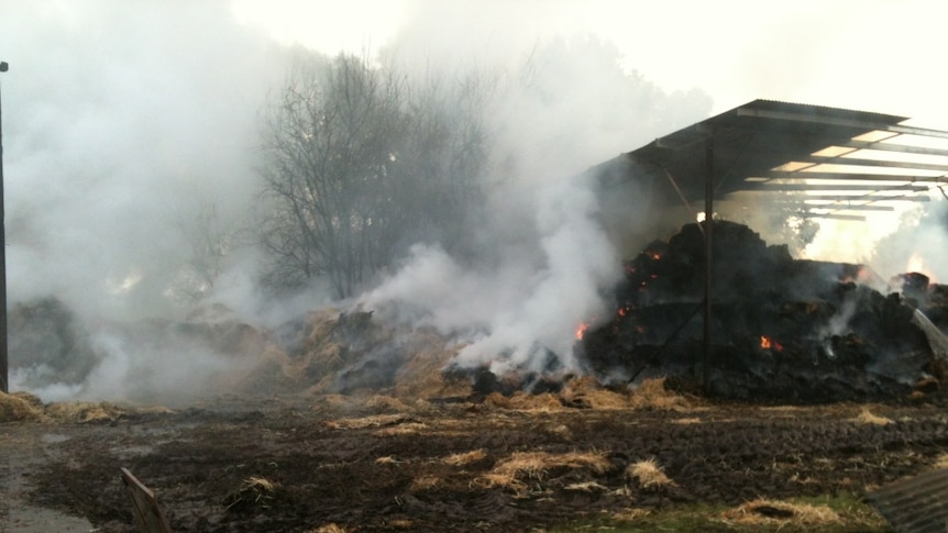 A fire believed to be caused by a welder's spark has destroyed two hay sheds at Cressy.