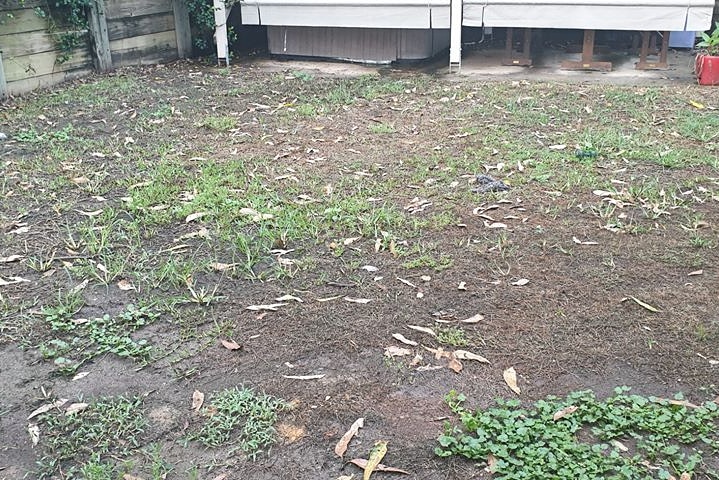 A backyard showing dirt, little grass and a small amount of weeds.