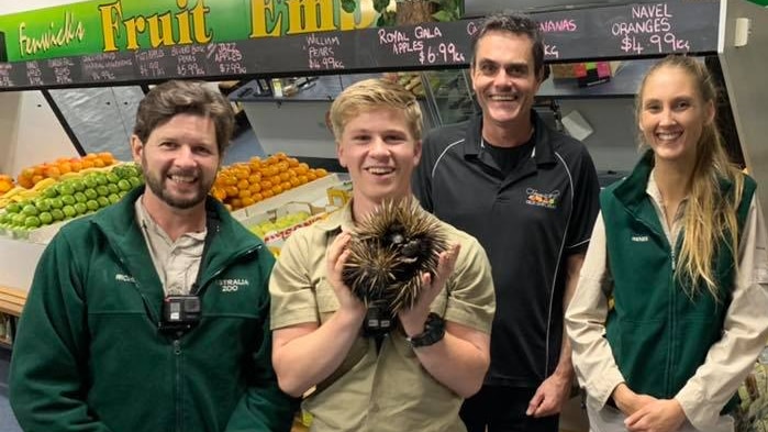 A young man holds an echidna in a fruit shop, surrounded by wildlife rescuers and staff.