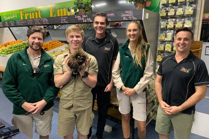 A young man holds an echidna in a fruit shop, surrounded by wildlife rescuers and staff.