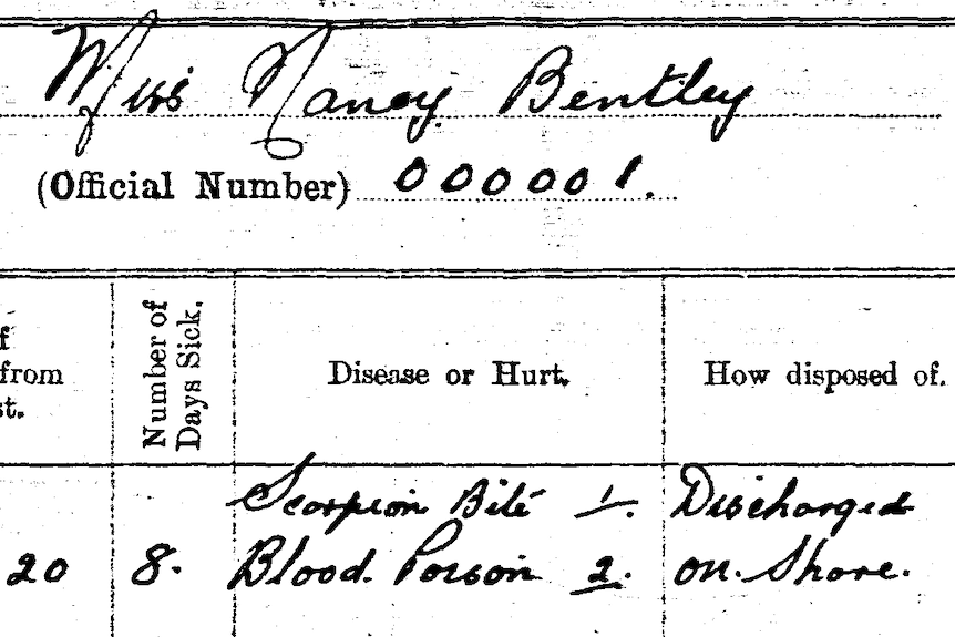 A hand-written document listing scorpion bite under a heading "disease or hurt".