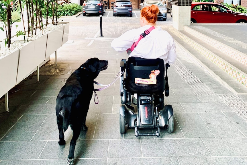 a black labrador looks up at elly in her wheelchair as they move outside her apartment 