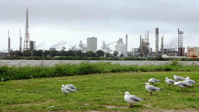 Orica's Kooragang Island boss says job cuts at the chemical giant will not be significant in the Hunter Valley.