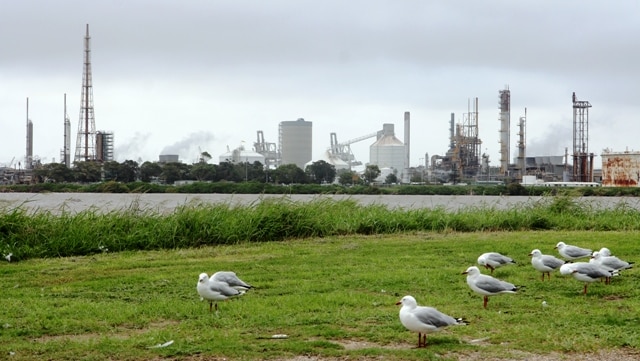 Kooragang Island from Stockton, Orica