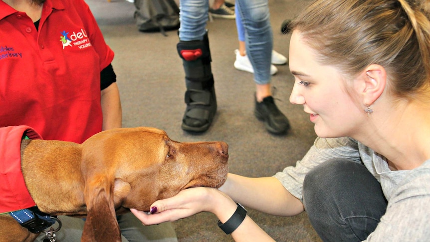 Student Hannah Wilkerson with therapy dog