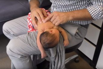 Baby having spinal manipulation.