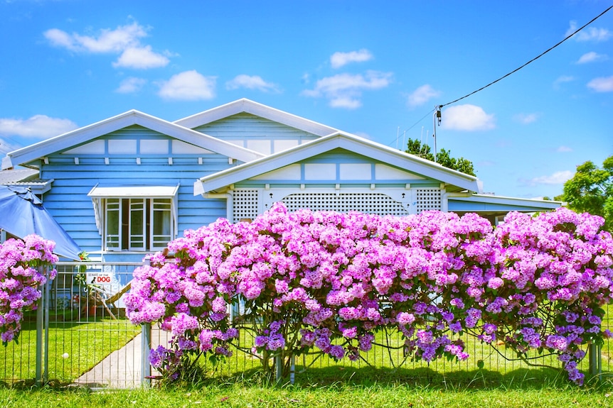 A blue timber house with a fence covered in flowers.