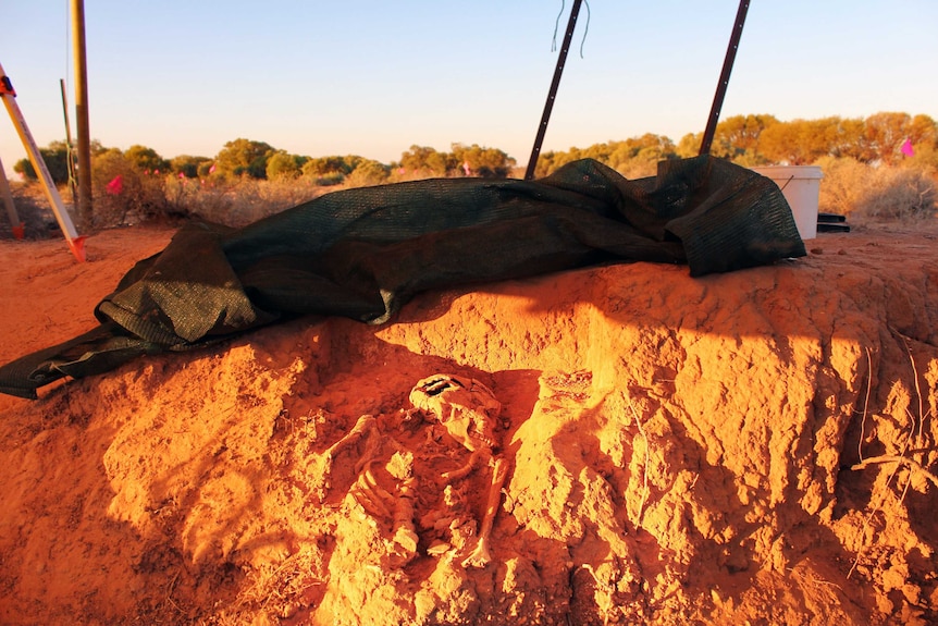 A human skeleton is exposed in a sun-drenched riverbank.