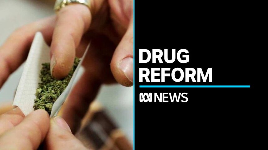 ACT government decriminalises small amounts of illicit drugs - ABC News