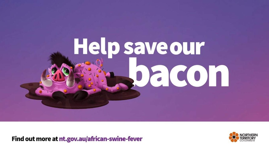 a cartoon pig next to the words "Help save our bacon"