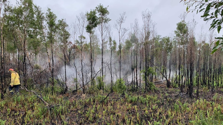 Steam rising from a fire ground.