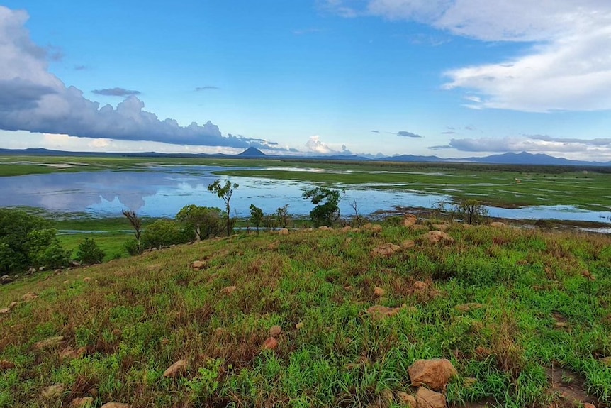 Flat, green land with small lakes.