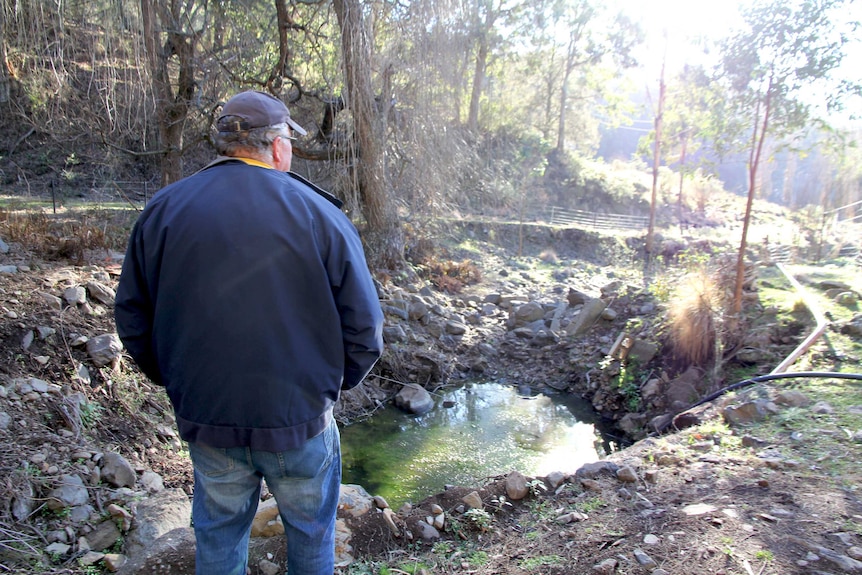 Man stands with his back to the camera looking over a rocky river bed with a pool of green, stagnant water.