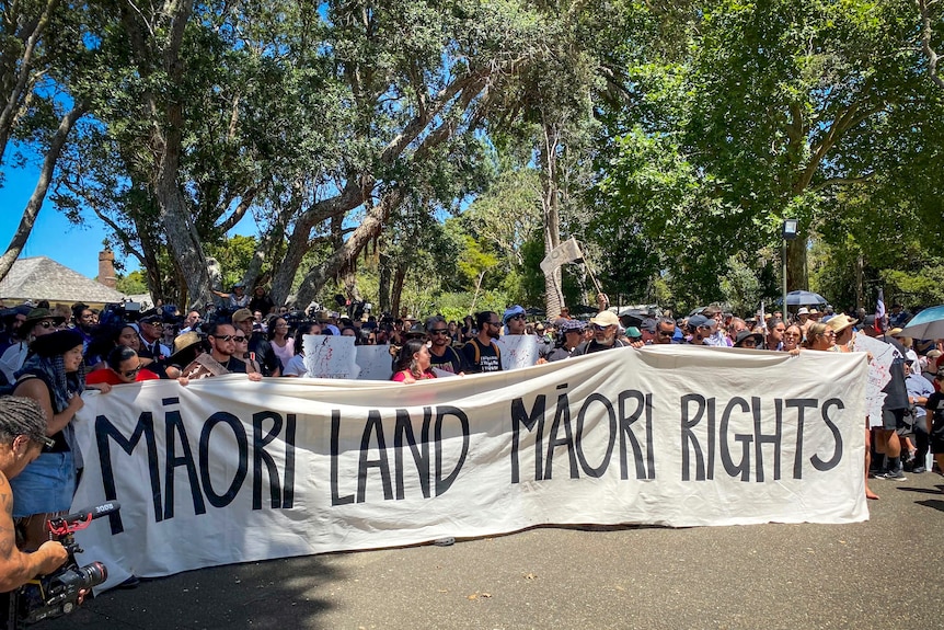 A crowd of people stand under trees holding a large sign saying MAORI LAND MAORI RIGHTS
