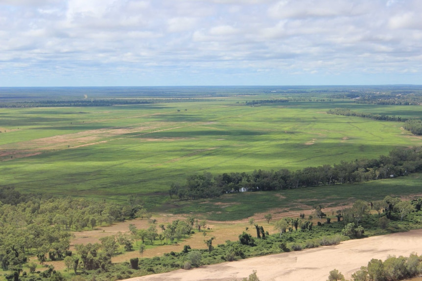 Land that has been cleared in the Gilbert River catchment