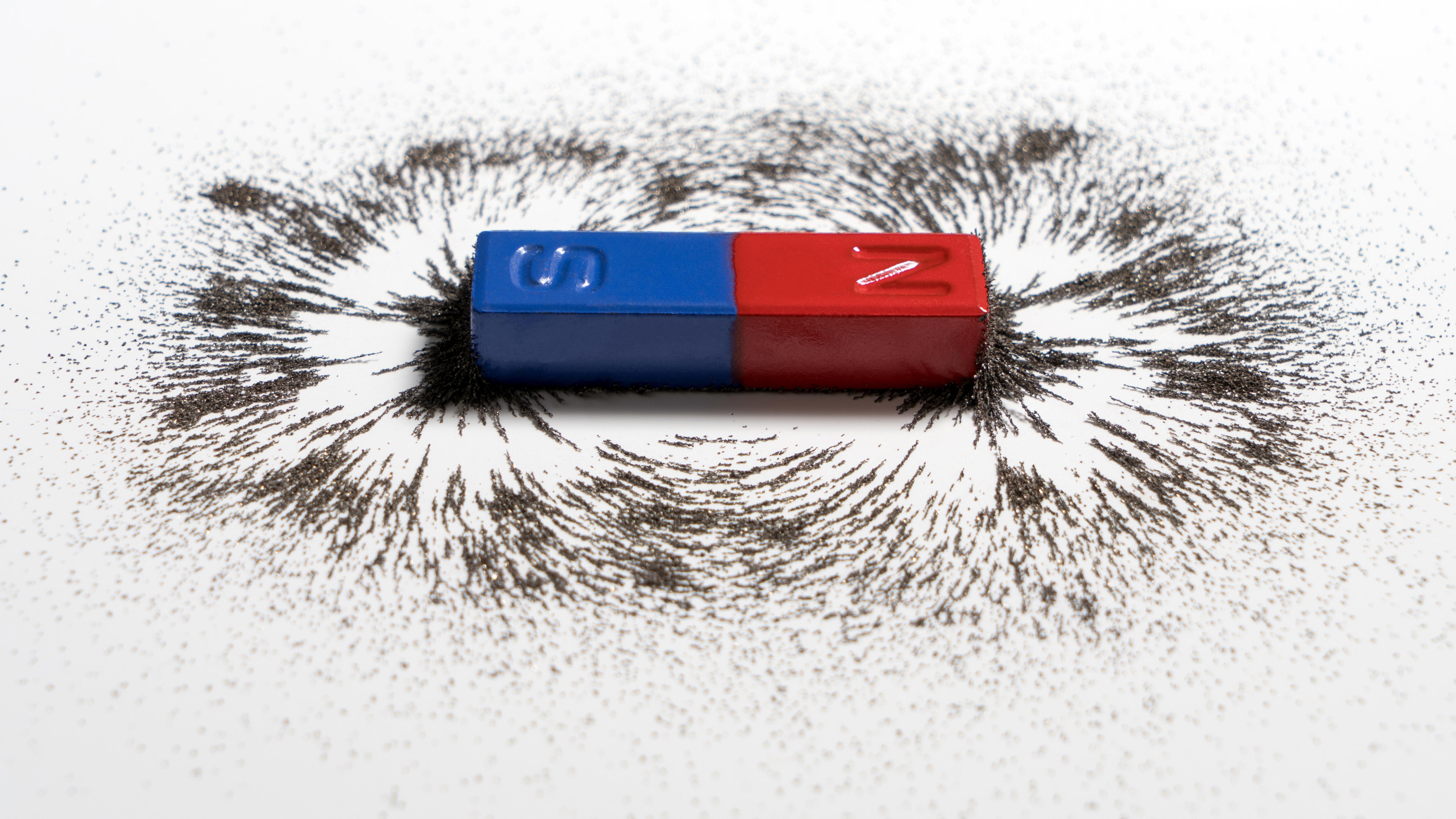 A magnet surrounded by iron filings laying in direction of magnetic force