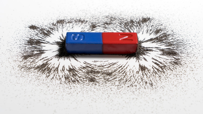 A magnet surrounded by iron filings laying in direction of magnetic force