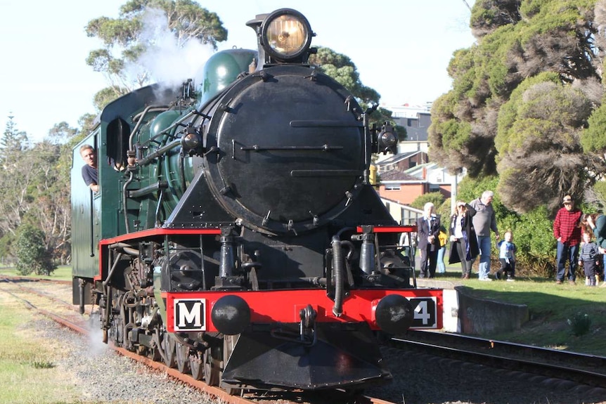 Families look at a steam locomotive at the Don River Railway, Tasmania.