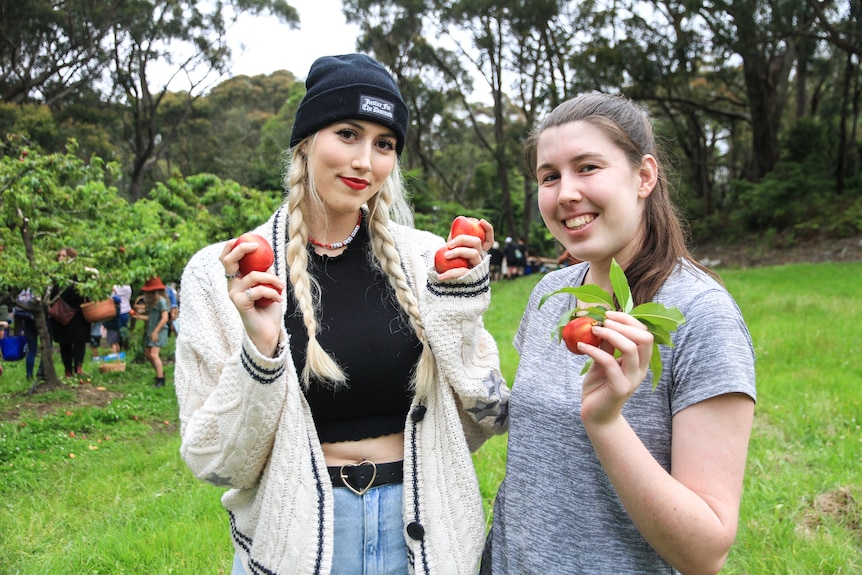 Isobelle and Tayla hold nectarines