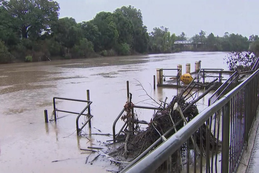 swollen river on dark rainy day with fallen tree branches piling up on the bank