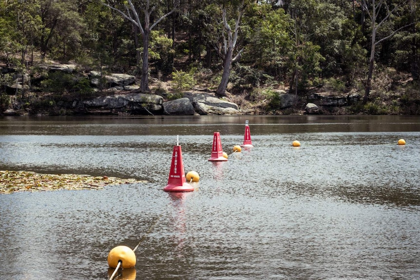 A swimming spot in a river