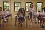 Stoner Sloth at school