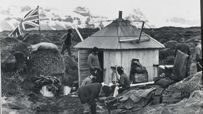 British, Australian and New Zealand researchers in 1929-1931 at Admiralty Hut on Heard Island, 1929