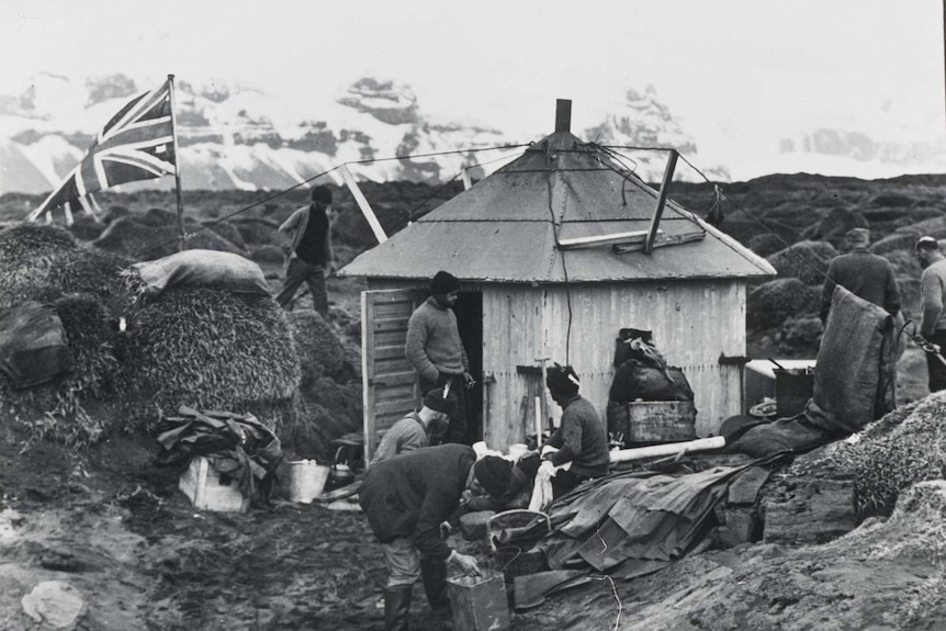 British, Australian and New Zealand researchers in 1929-1931 at Admiralty Hut on Heard Island, 1929