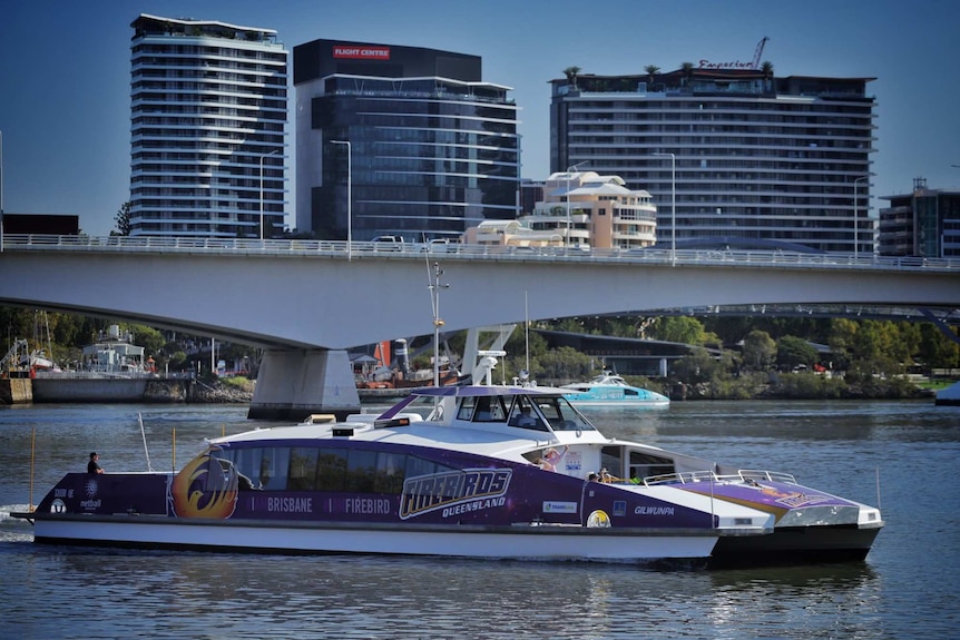 Brisbane City Cat ferry called Gilwunpa, with purple and yellow Queensland Firebirds promotion painted on it, on Brisbane river.