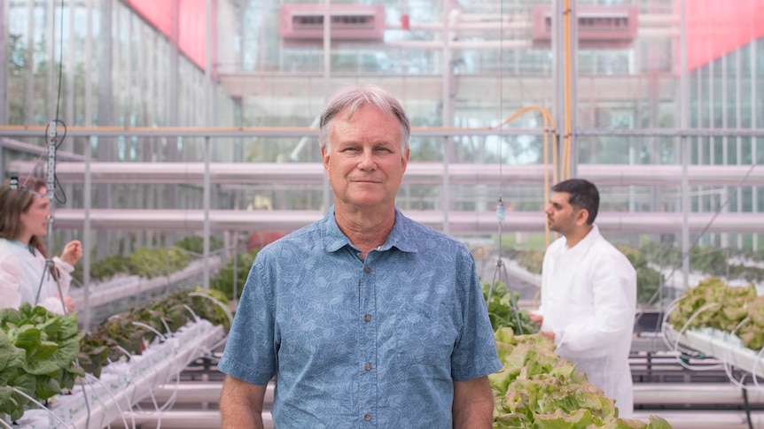 A man stares at the camera in a large glasshouse with people working around him