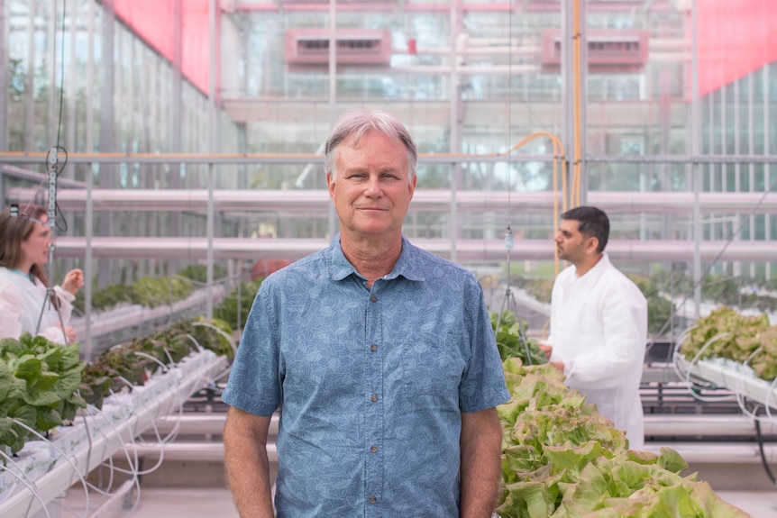 A man stares at the camera in a large glasshouse with people working around him