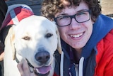 A teenage boy with glasses gets up close to a Labrador dog that looks happy